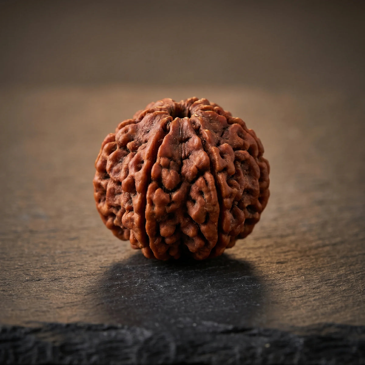 GemSense 6 Mukhi (Shanmukhi) Rudraksha bead — product view 4